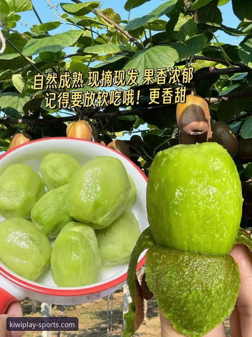 奇异果体育版本对比使用技巧 奇异果体育版本对比使用技巧:6个关键维度助你选择最佳版本